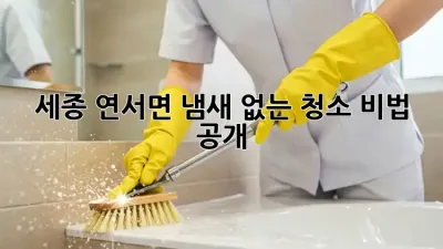 세종 연서면 냄새 없는 청소, 비법 공개!