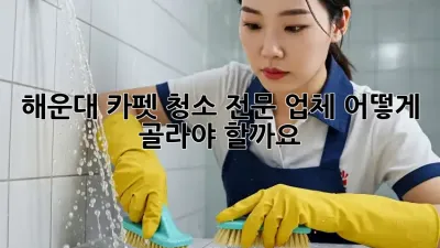 해운대 카펫 청소 전문 업체, 어떻게 골라야 할까요?