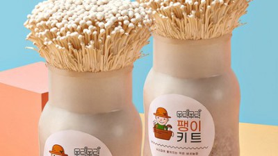✨득템찬스! 버섯키트2입 교육용🍄 솔직후기 & 꿀팁 대방출!